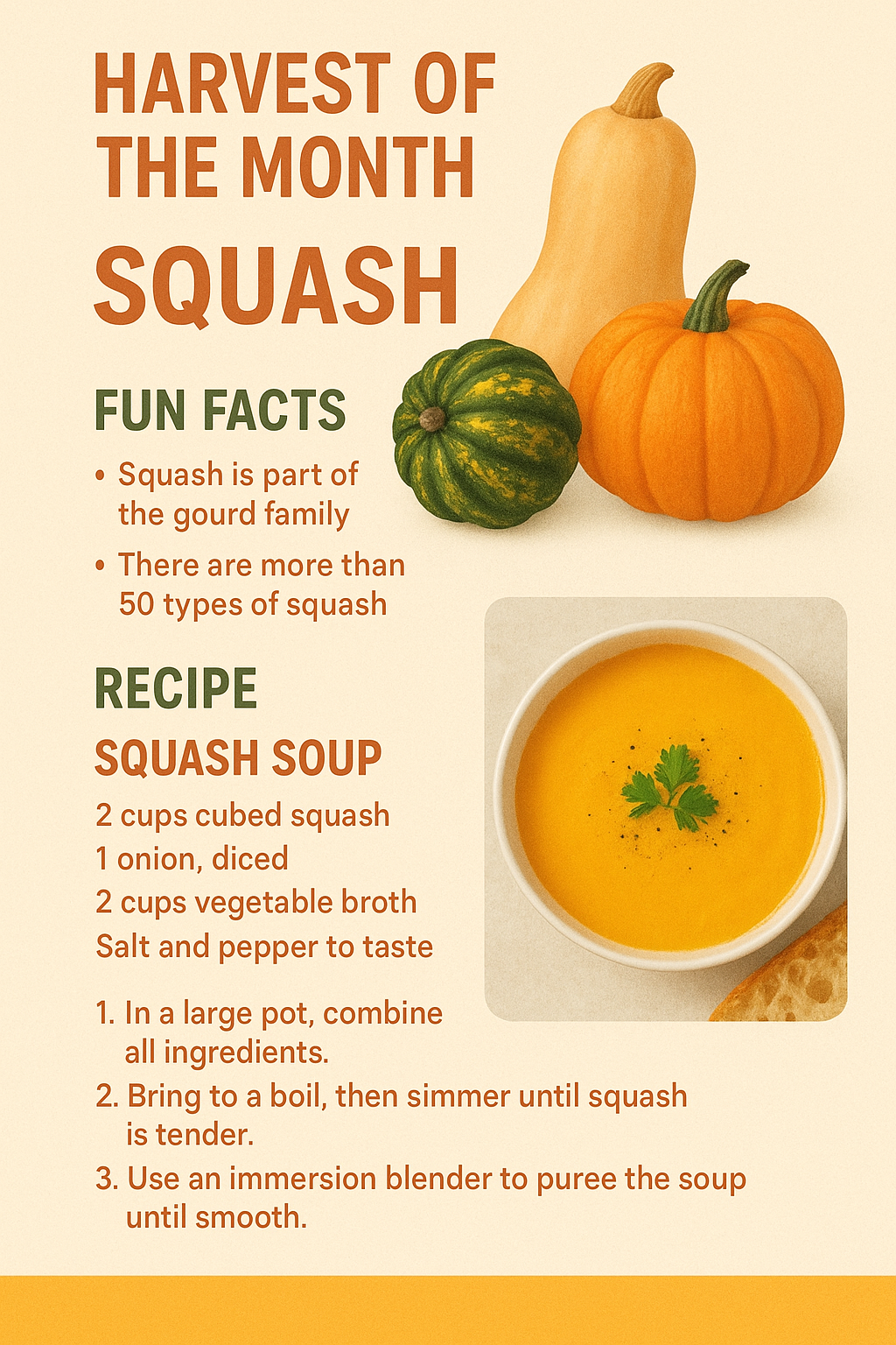 Harvest of the Month - Squash